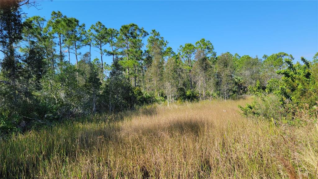 32464 Oil Well Road Punta Gorda, FL 33955 - Photo 1 of 1 Gallery Image 1