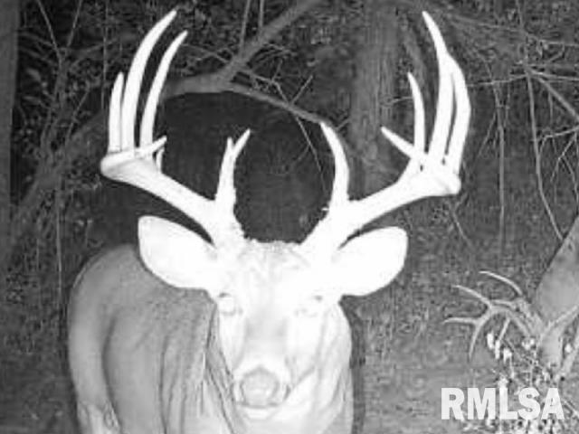 4231 Stone Road Springfield, IL 62707 - Photo 84 of 85