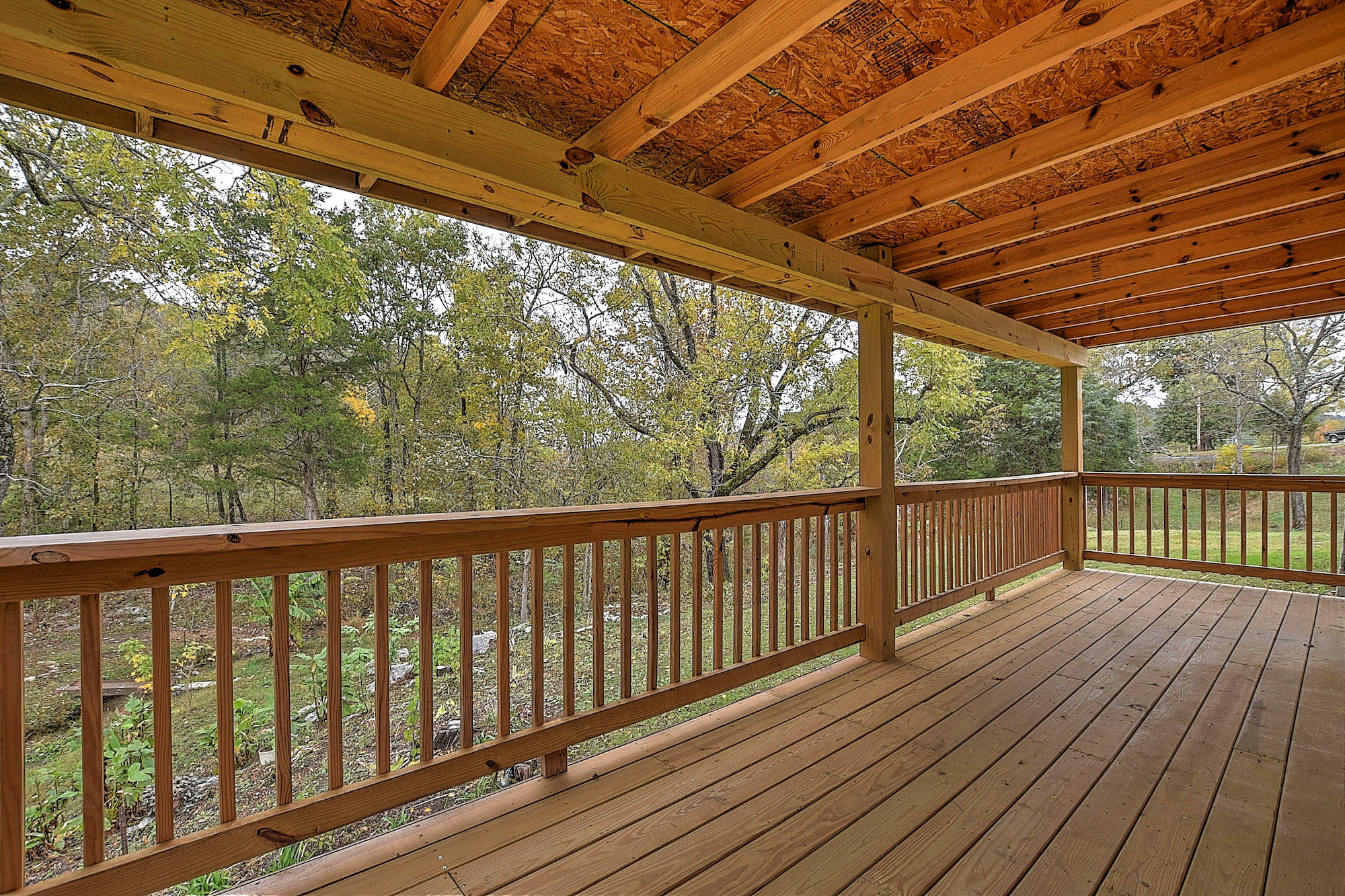 2801 White Sands Road Greeneville, TN 37743 - Photo 24 of 42 2801 WHite Sands-29
