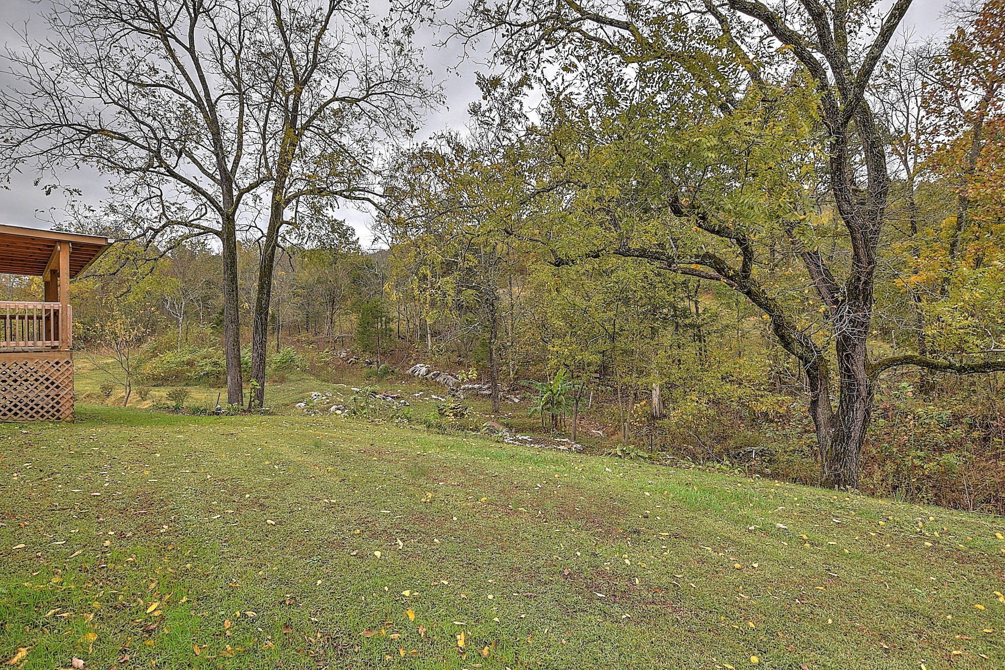 2801 White Sands Road Greeneville, TN 37743 - Photo 27 of 42 2801 WHite Sands-26