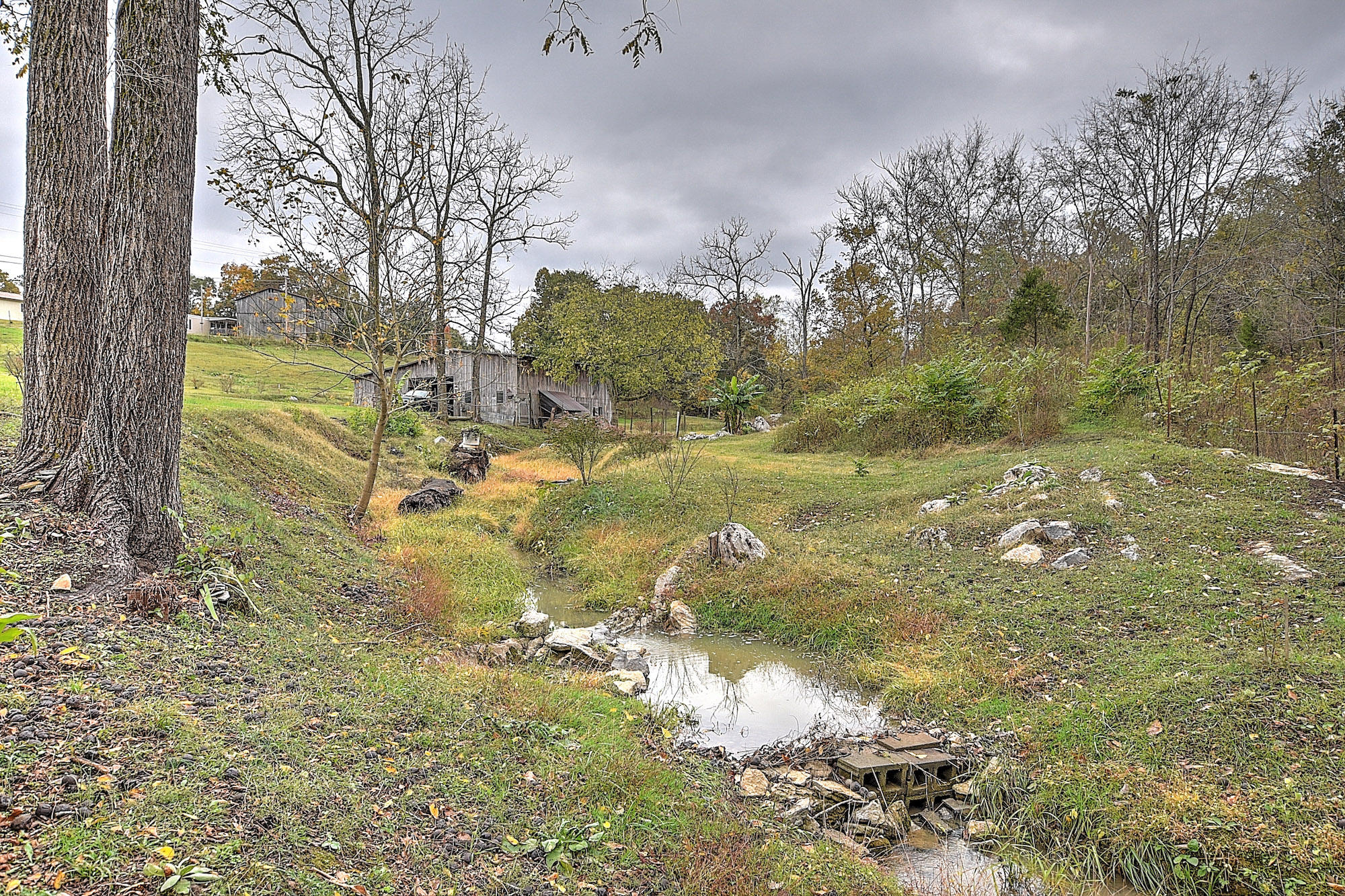 2801 White Sands Road Greeneville, TN 37743 - Photo 28 of 42 2801 WHite Sands-28