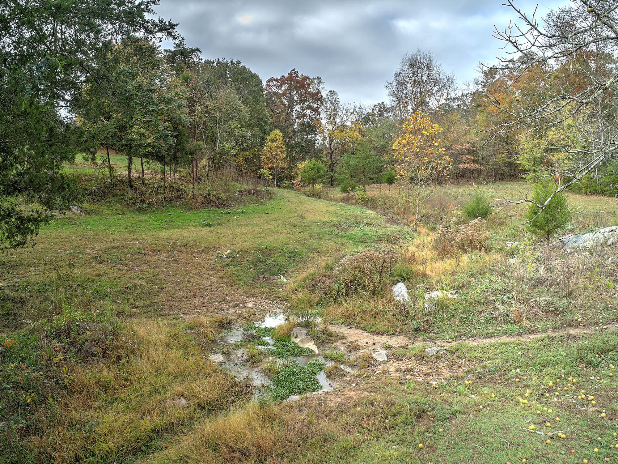 2801 White Sands Road Greeneville, TN 37743 - Photo 38 of 42 2801 White Sands Rd-14