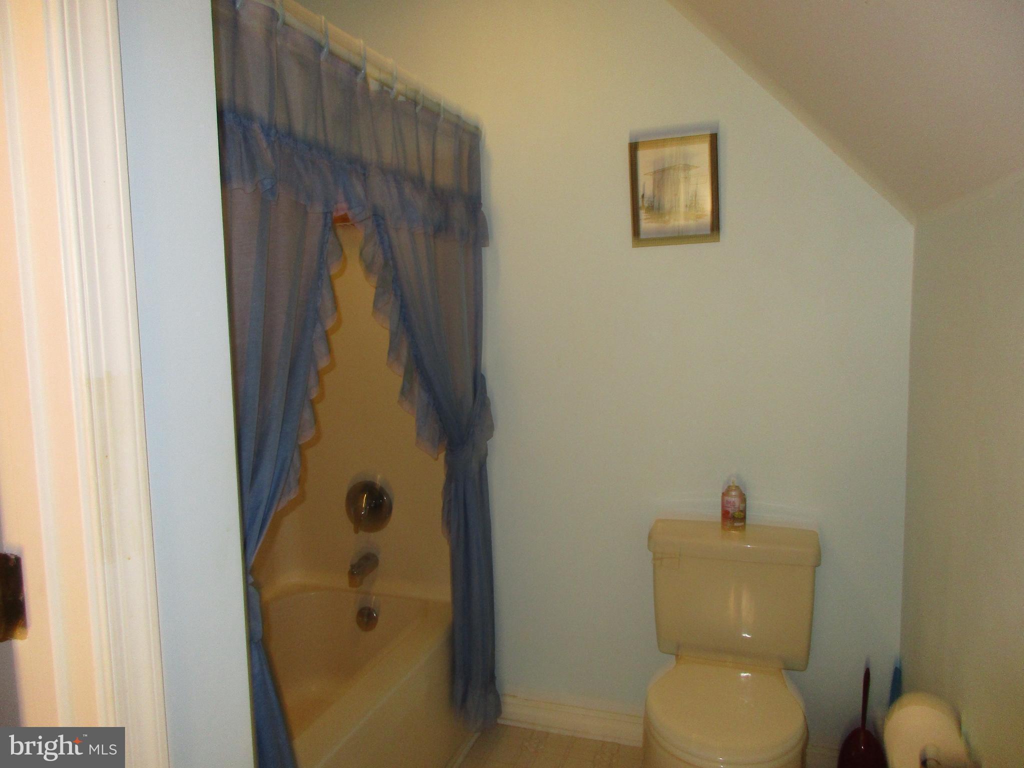25151 Smithville Road Worton, MD 21678 - Photo 14 of 25 Bath