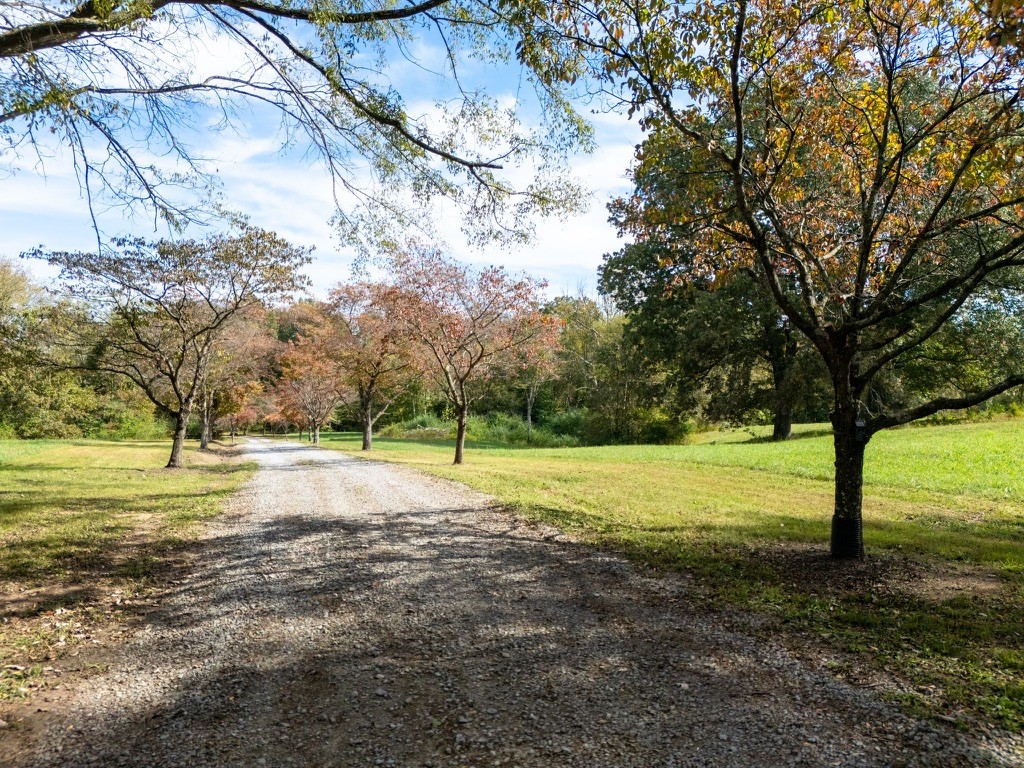 418 Spout Spring Road Dover, TN 37058 - Photo 3 of 36 a view of a yard with a tree