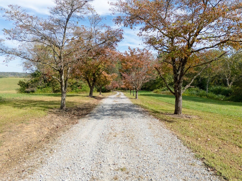 418 Spout Spring Road Dover, TN 37058 - Photo 4 of 36 a view of a yard with tree s
