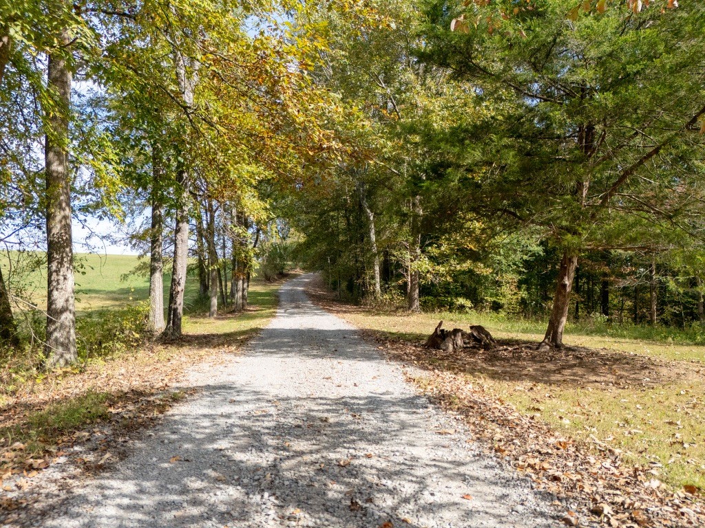 418 Spout Spring Road Dover, TN 37058 - Photo 5 of 36 a view of yard with trees