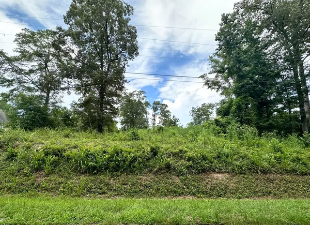 $21,500 | 0 Country Club Road, St. Matthews, SC 29135