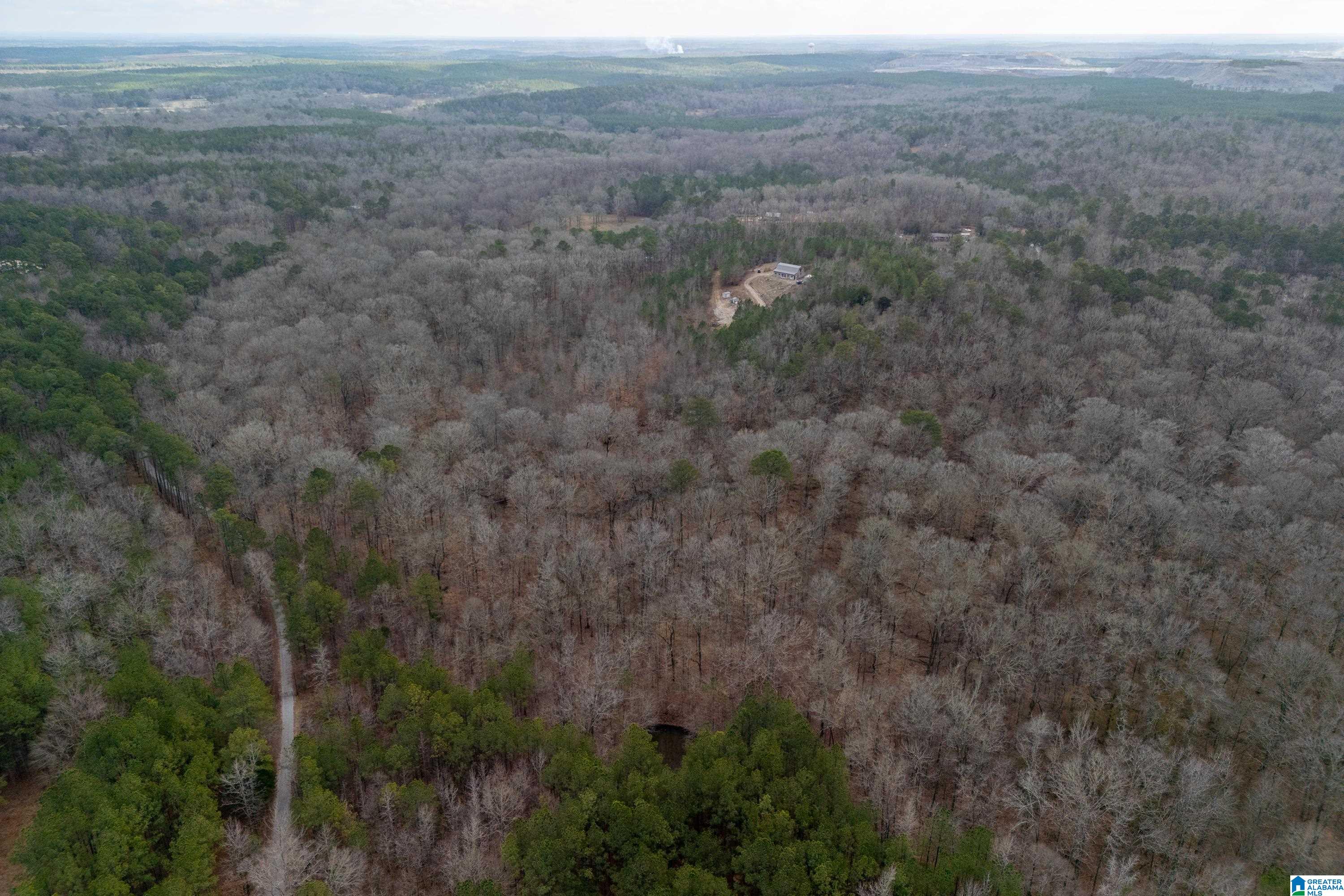 2885 Highway 26 Alabaster Al Alabaster, AL 35007 - Photo 32 of 43