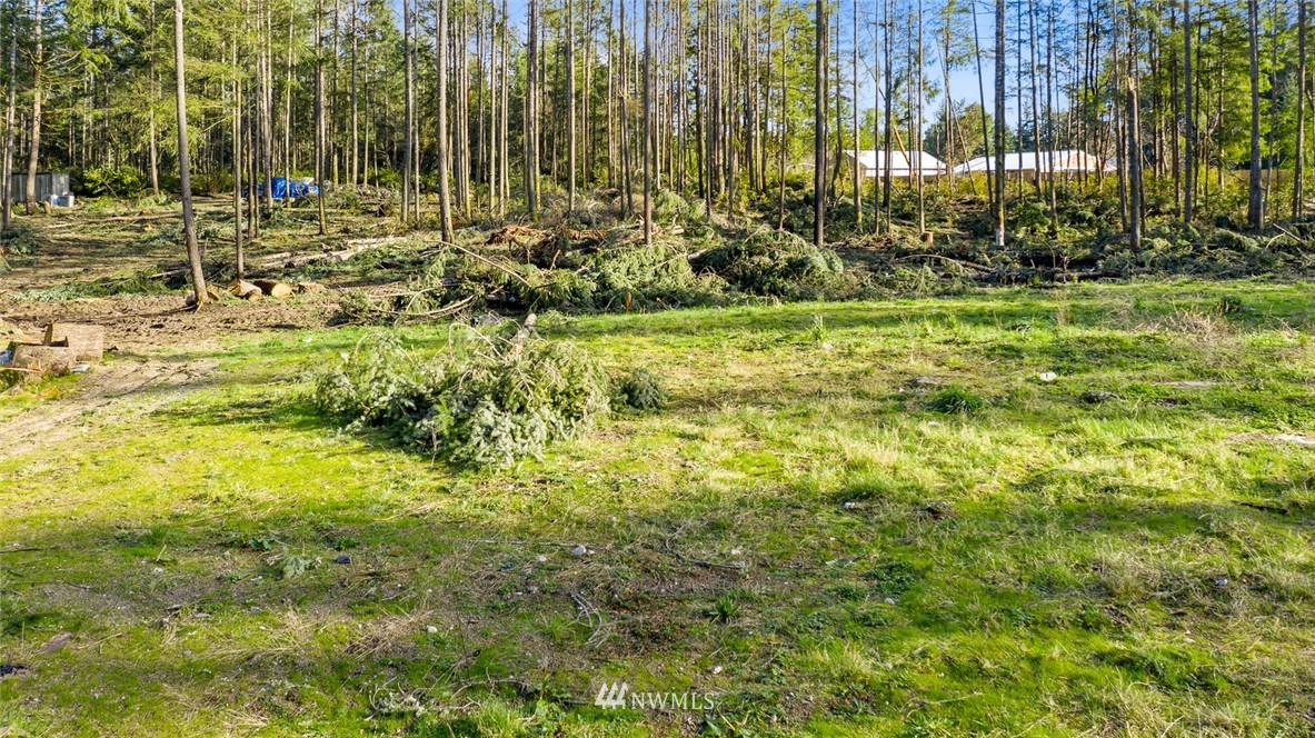 820 Webb Road Southwest Lakebay, WA 98349 - Photo 2 of 17