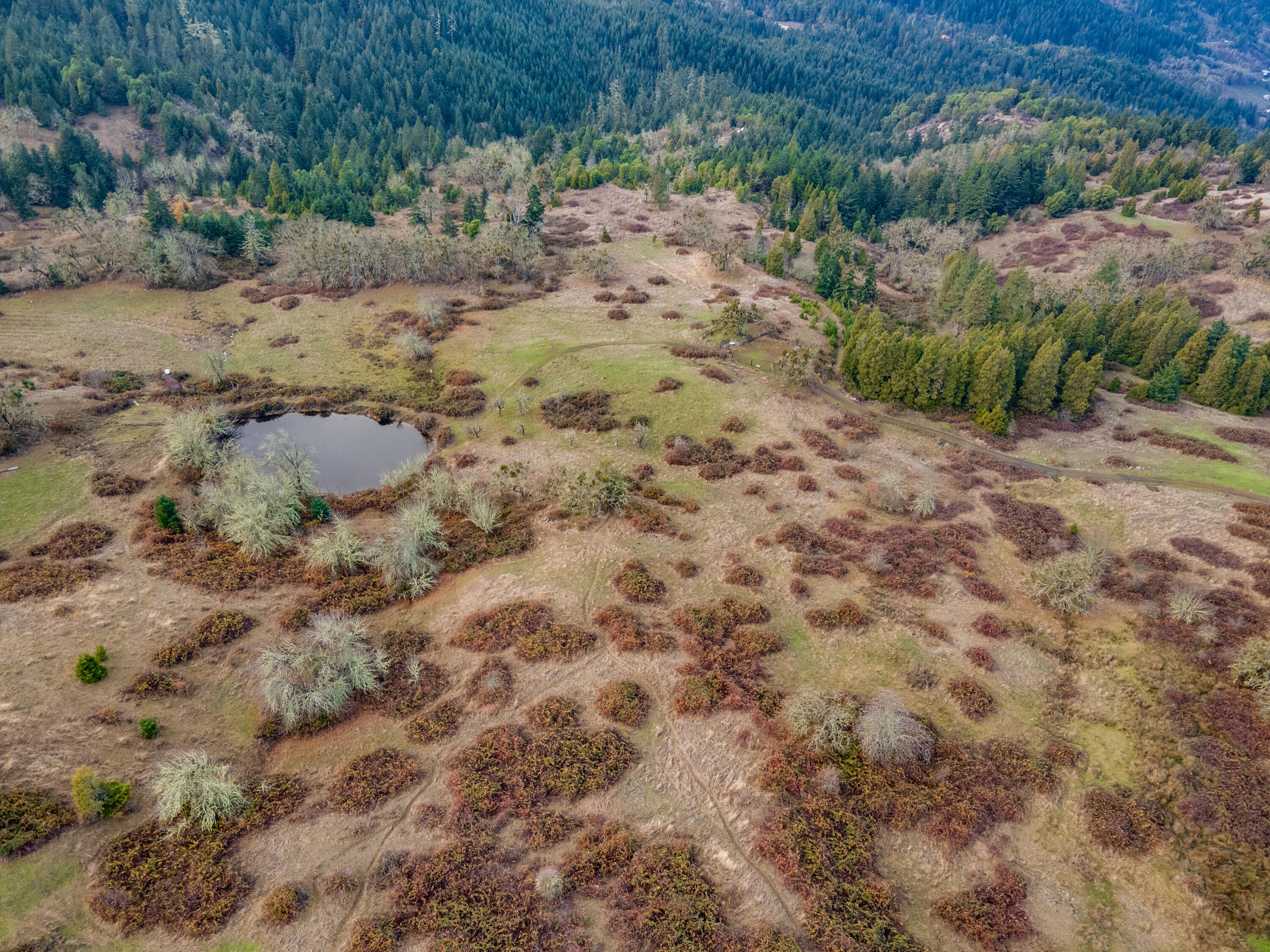 3017 Boomer Hill Road Myrtle Creek, OR 97457 - Photo 20 of 53 3017 Boomer Hill Rd - Drone-21
