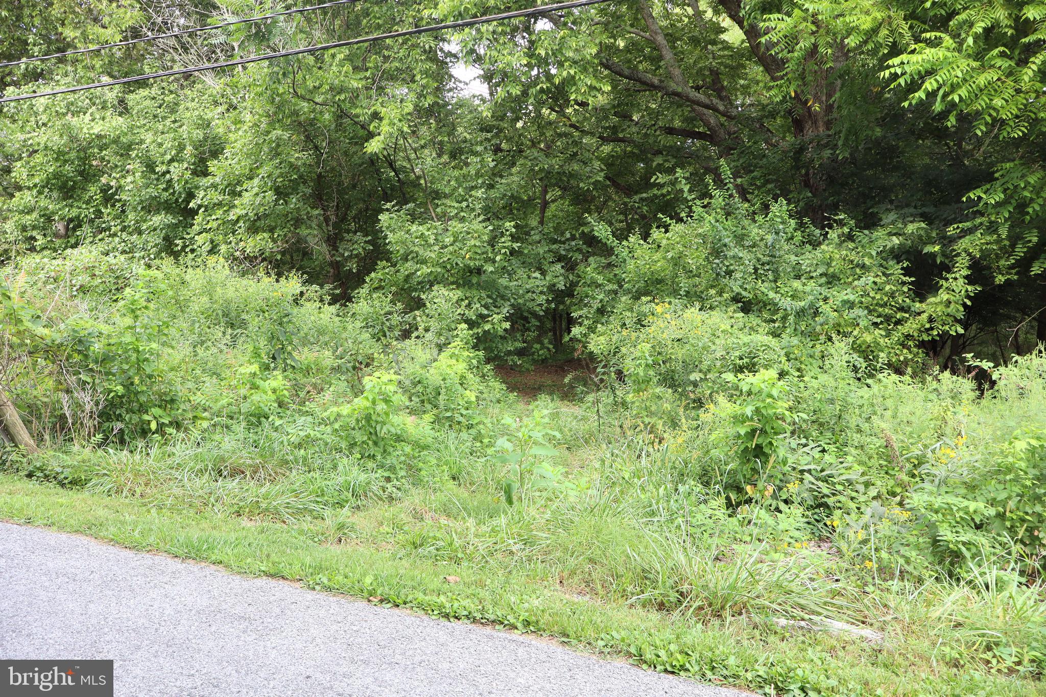 Avis Mill Road Williamsport, MD 21795 - Photo 6 of 6 Gallery Image 6