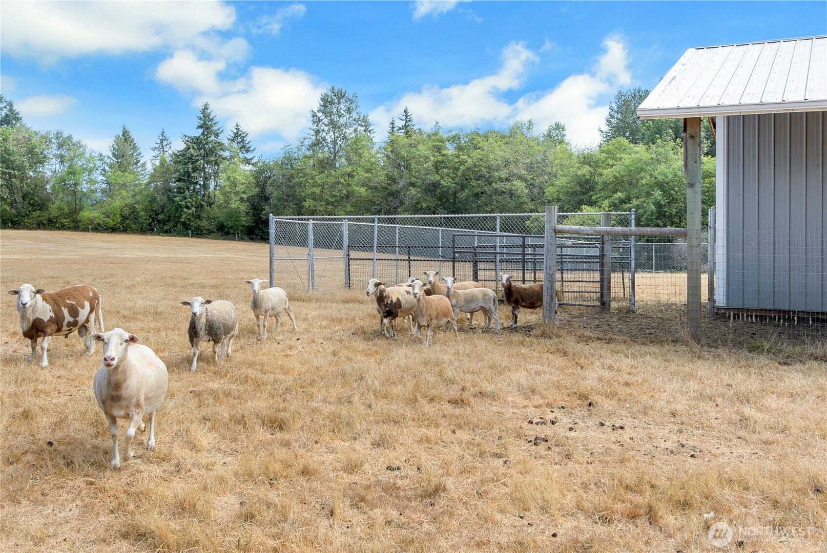 119 Sommerville Road Chehalis, WA 98532 - Photo 37 of 40