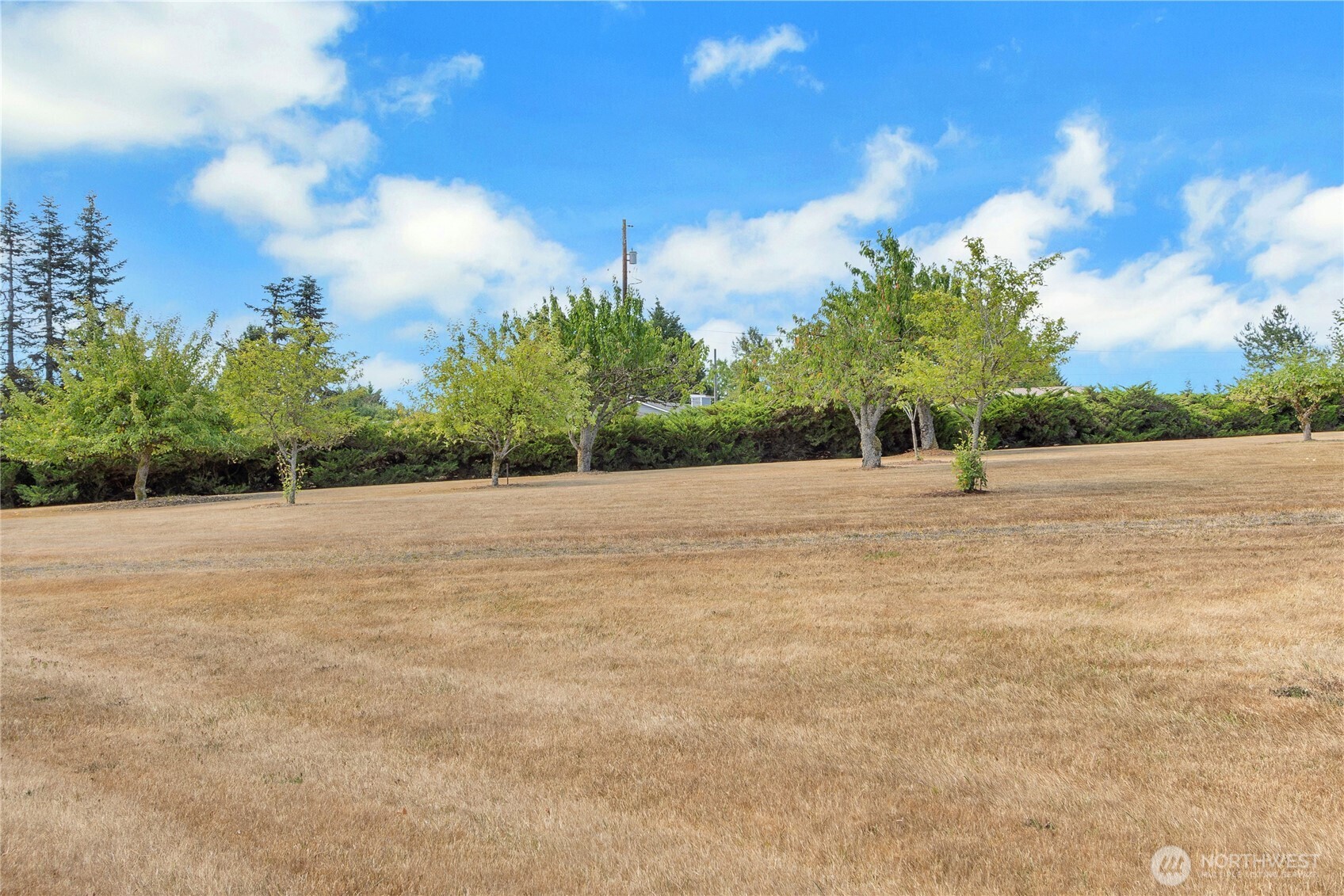 119 Sommerville Road Chehalis, WA 98532 - Photo 38 of 40