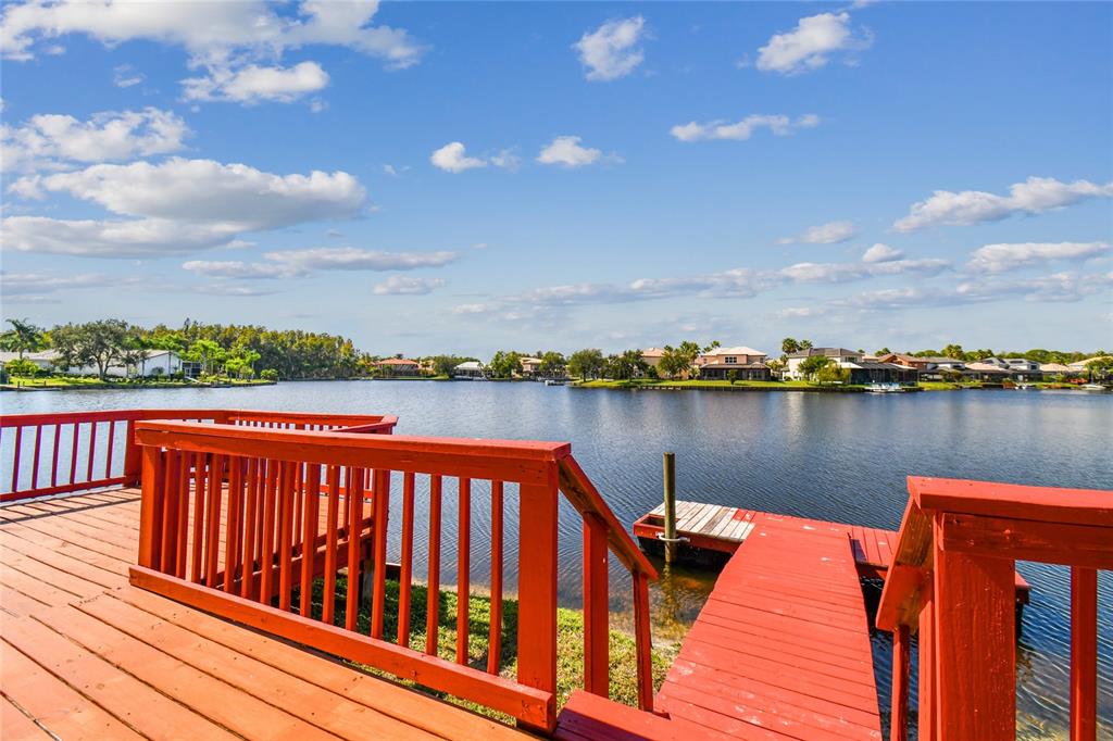 18026 Java Isle Drive Tampa, FL 33647 - Photo 62 of 70