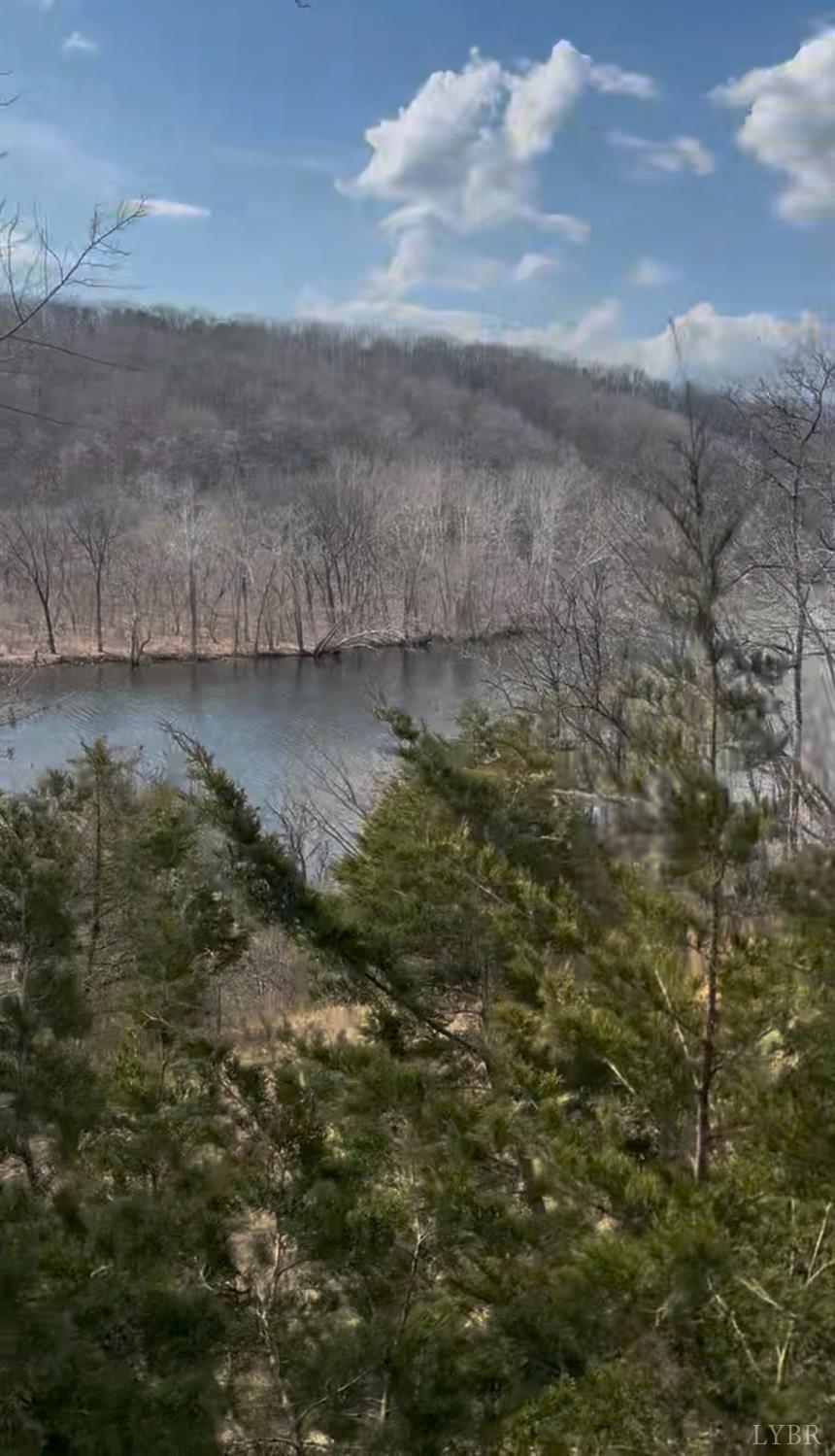 426 Burgess Road Madison Heights, VA 24572 - Photo 32 of 51 a view of a lake view