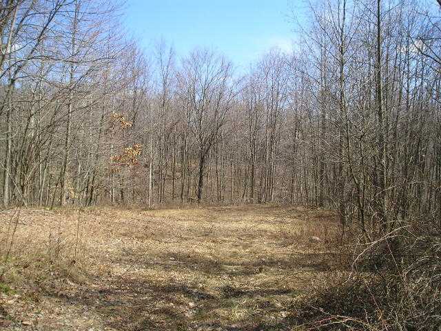 0 Gratiot Road Southeast Newark, OH 43056 - Photo 4 of 5