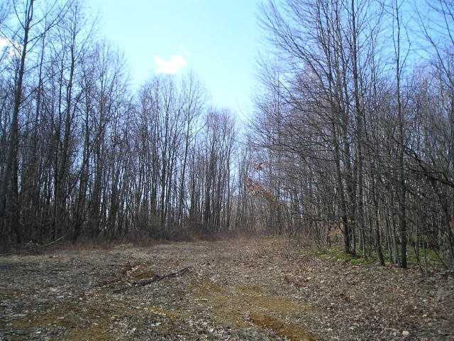 0 Gratiot Road Southeast Newark, OH 43056 - Photo 5 of 5