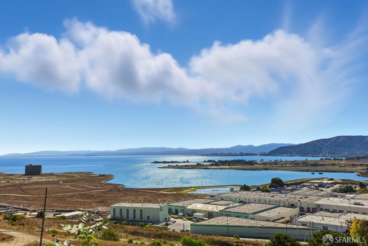 a view of a lake with a city
