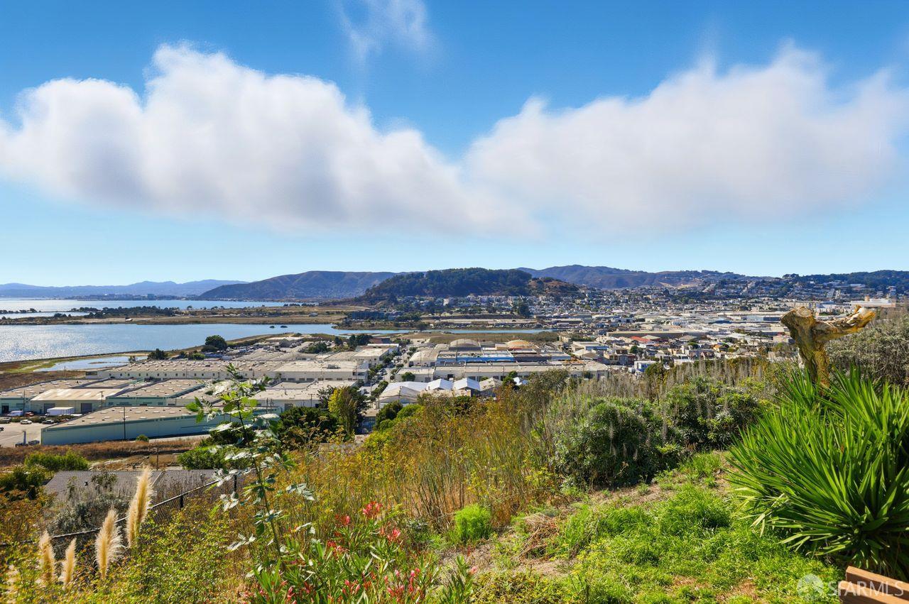 59 Kiska Road San Francisco, CA 94124 - Photo 5 of 46 a view of a lake with a city