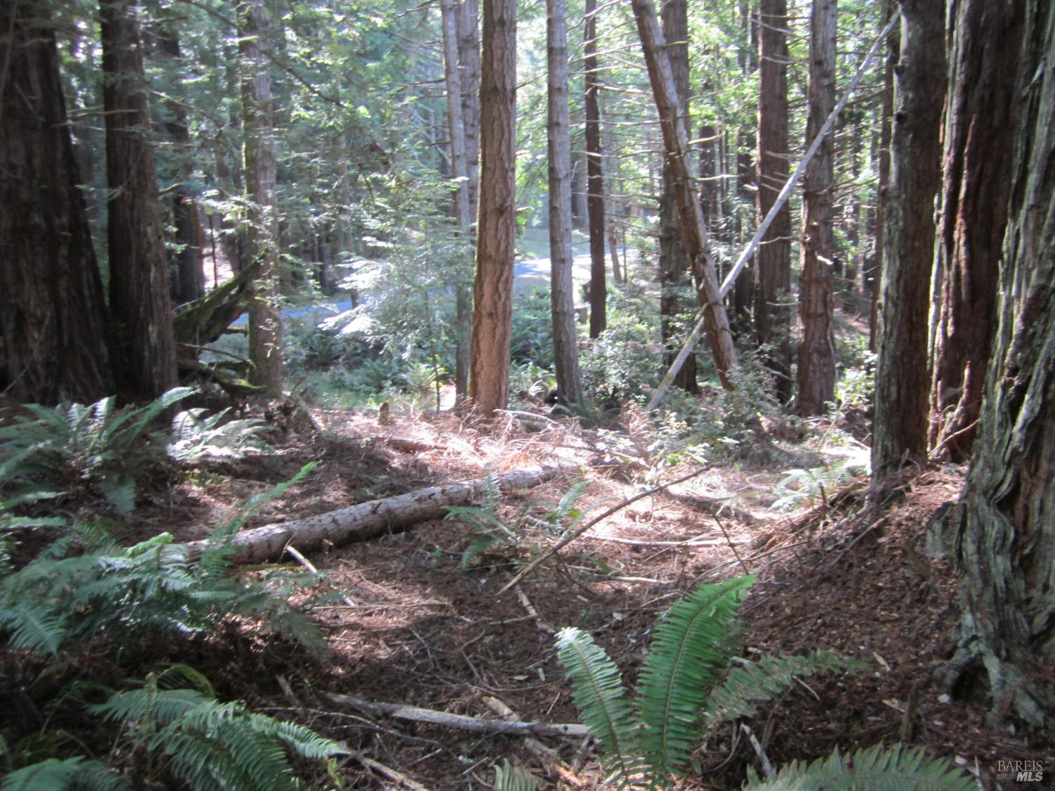 398 Packet Close The Sea Ranch, CA 95497 - Photo 10 of 14