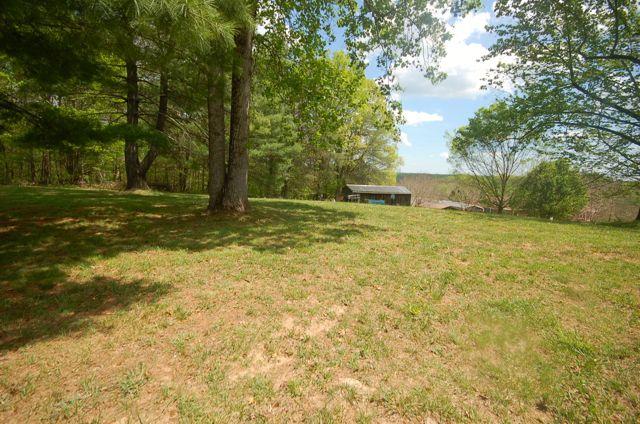 135 Hopkins Road Rocky Mount, VA 24151 - Photo 20 of 21 a view of a yard with trees