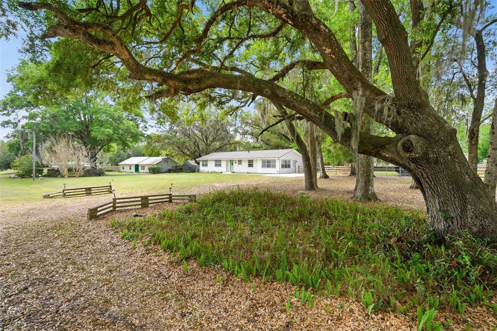 6820 Southwest 78th Street Gainesville, FL 32608 - Photo 2 of 41 a view of a park with large trees