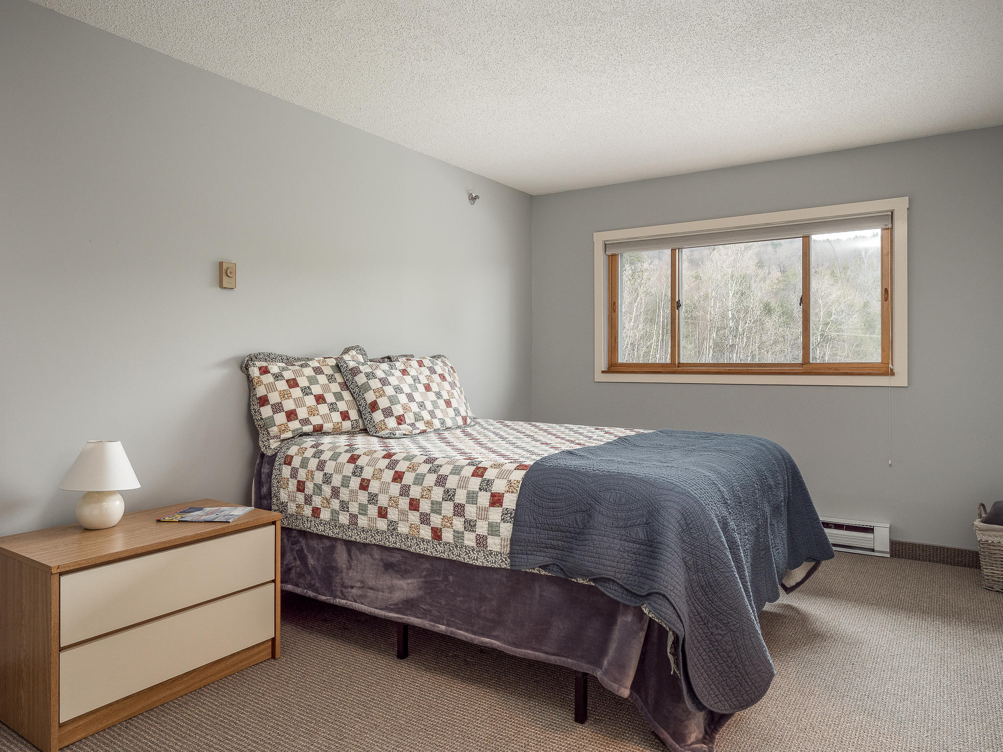 8 Fall Line Drive, Unit 215 Newry, ME 04261 - Photo 9 of 23 Fall Line w215-9
