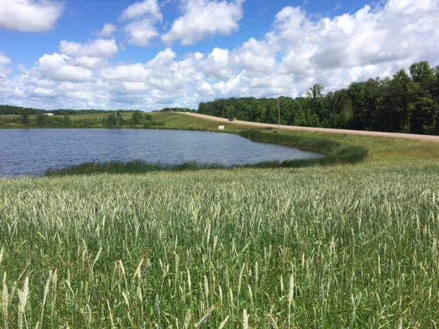 0 State Highway Athens, WI 54411 - Photo 1 of 1