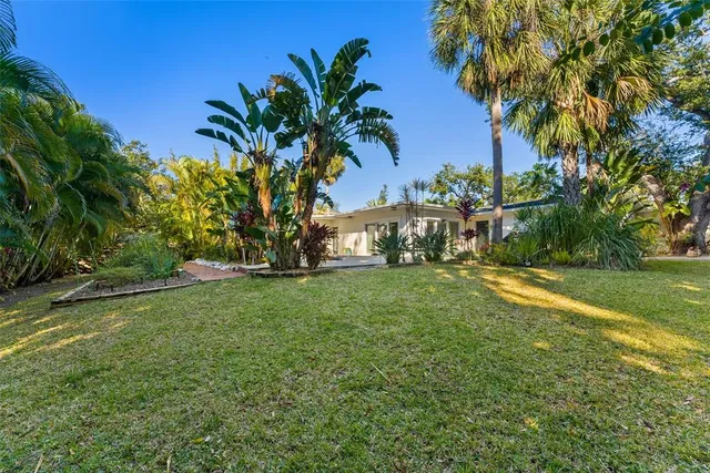 a view of a backyard