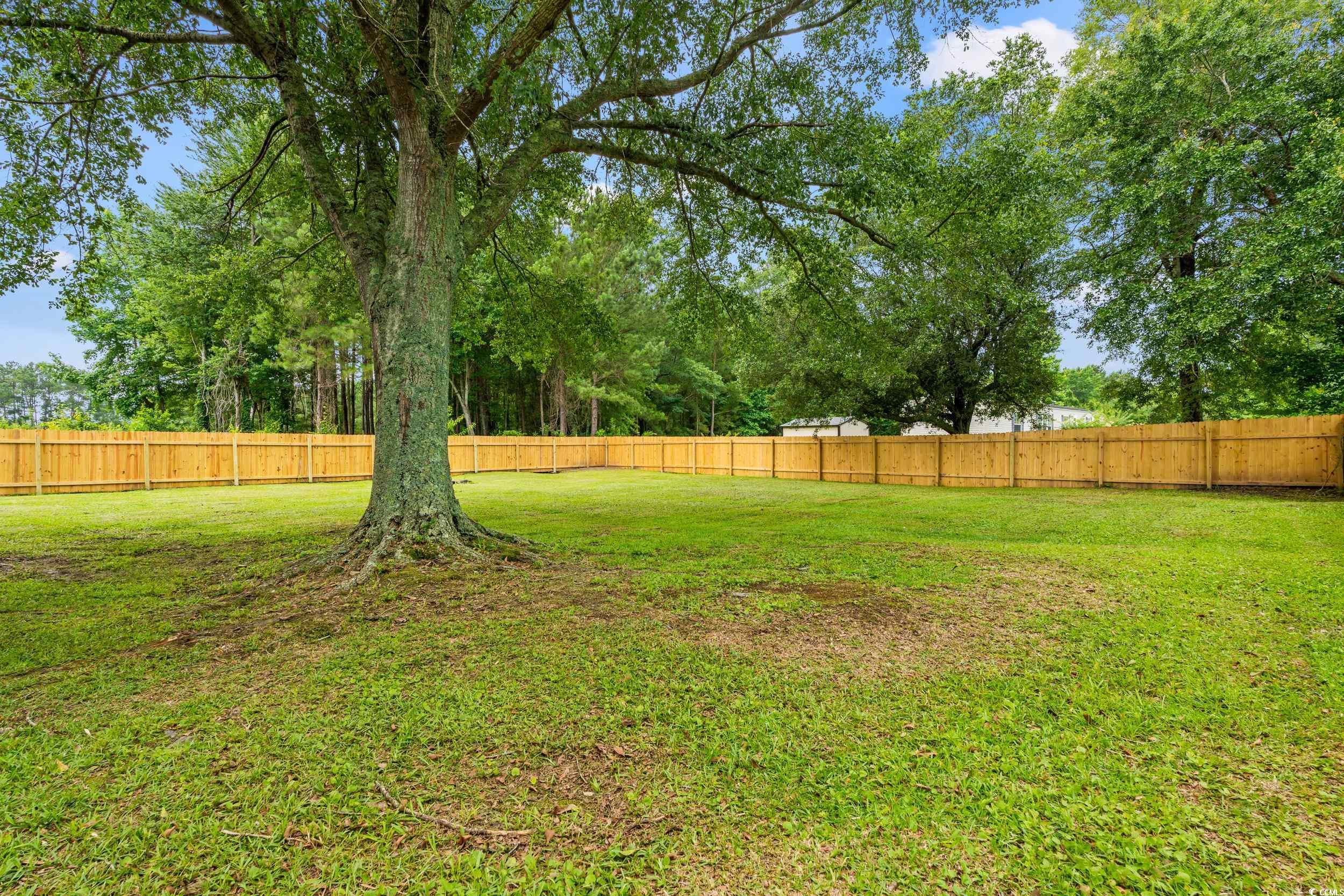 2965 Mt Olive Road Loris, SC 29569 - Photo 33 of 35 View of fenced backyard