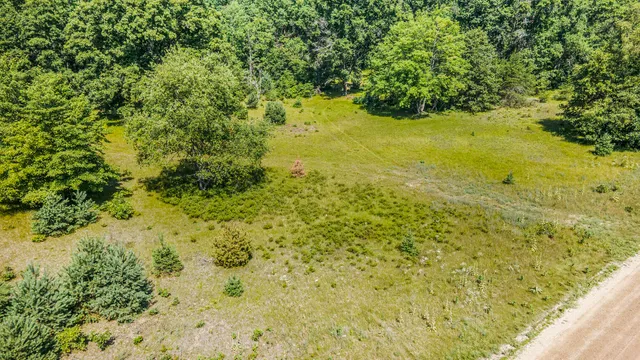 $47,500 | Lot B 85th Avenue, Mecosta, MI 49332