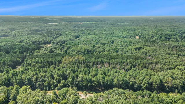 $47,500 | Lot B 85th Avenue, Mecosta, MI 49332