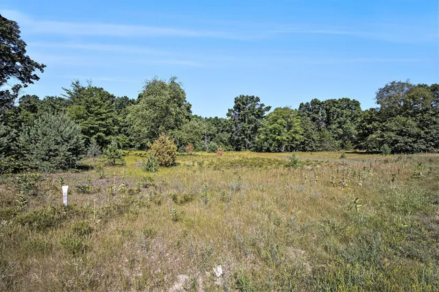 $47,500 | Lot B 85th Avenue, Mecosta, MI 49332