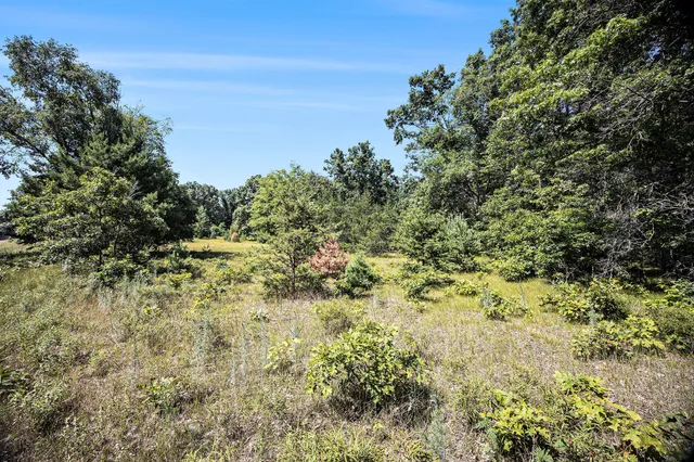 $47,500 | Lot B 85th Avenue, Mecosta, MI 49332