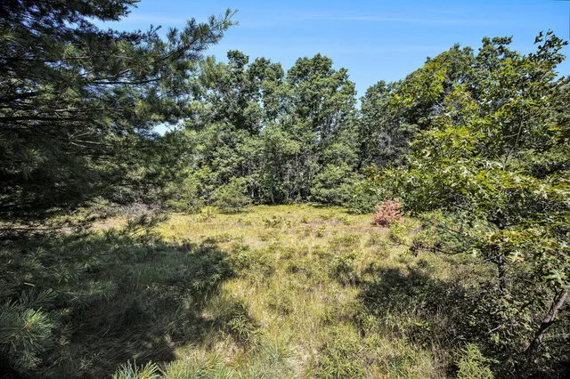 $47,500 | Lot B 85th Avenue, Mecosta, MI 49332