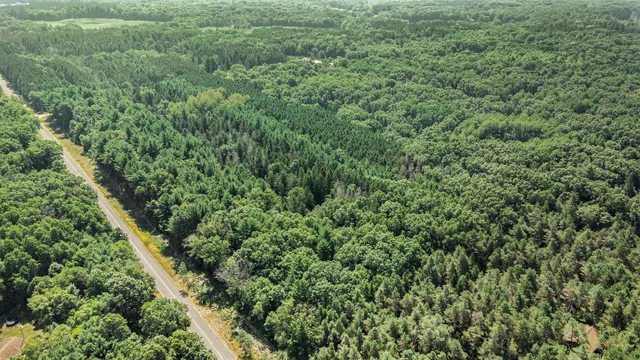 $47,500 | Lot B 85th Avenue, Mecosta, MI 49332