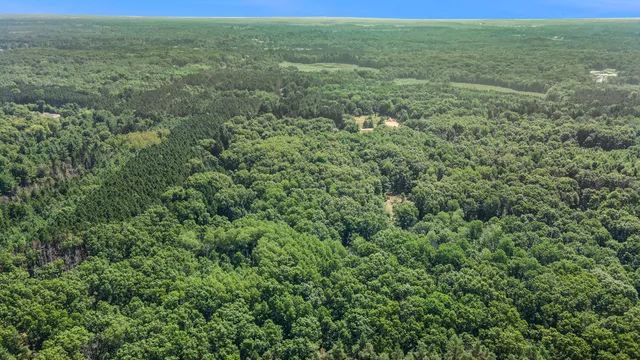 $47,500 | Lot B 85th Avenue, Mecosta, MI 49332