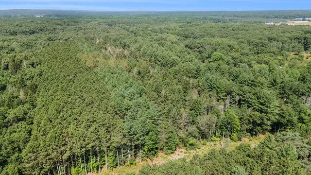 $47,500 | Lot B 85th Avenue, Mecosta, MI 49332