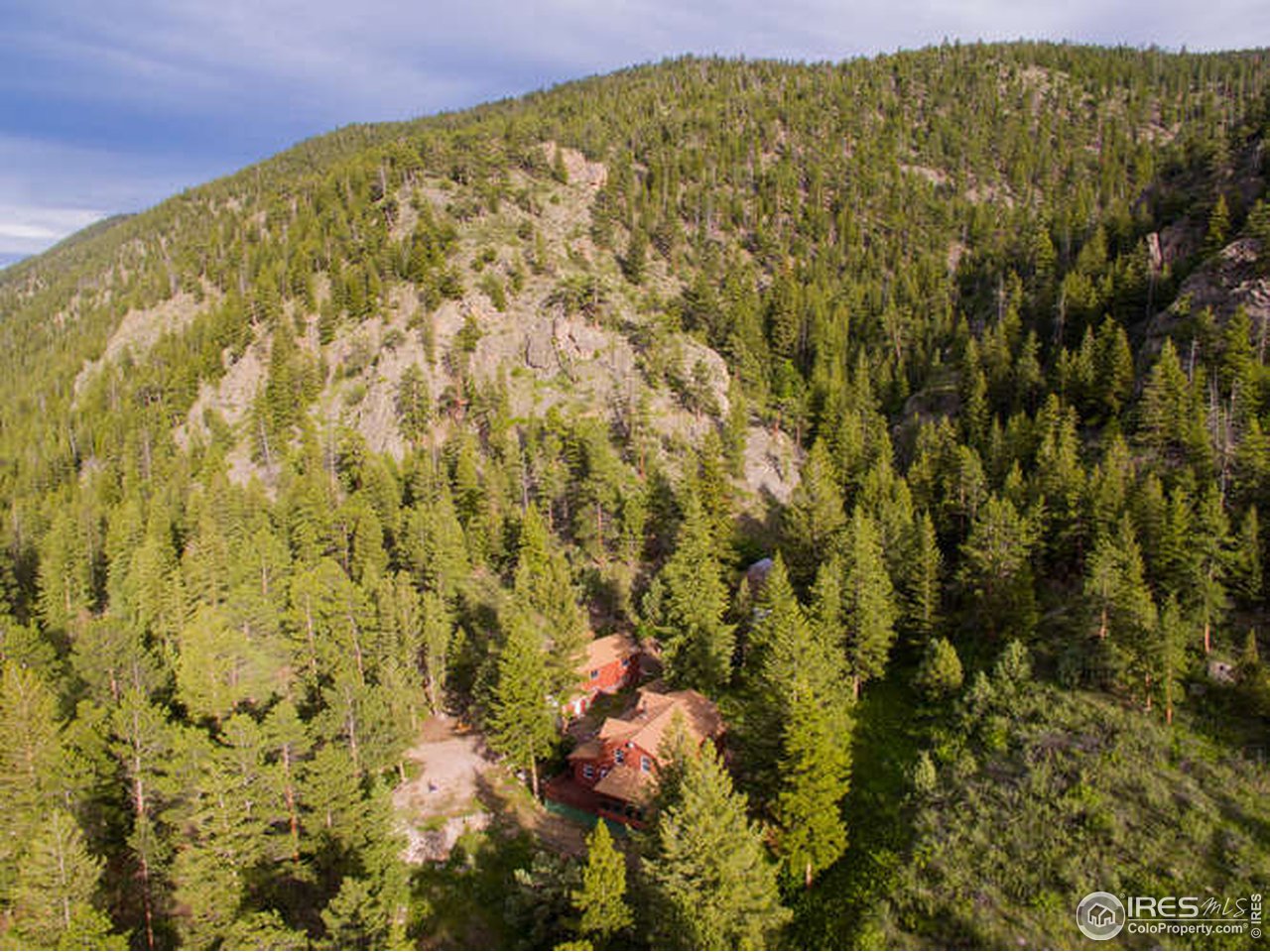 565 Rustic Road Bellvue, CO 80512 - Photo 6 of 40 Tremendous wildlife