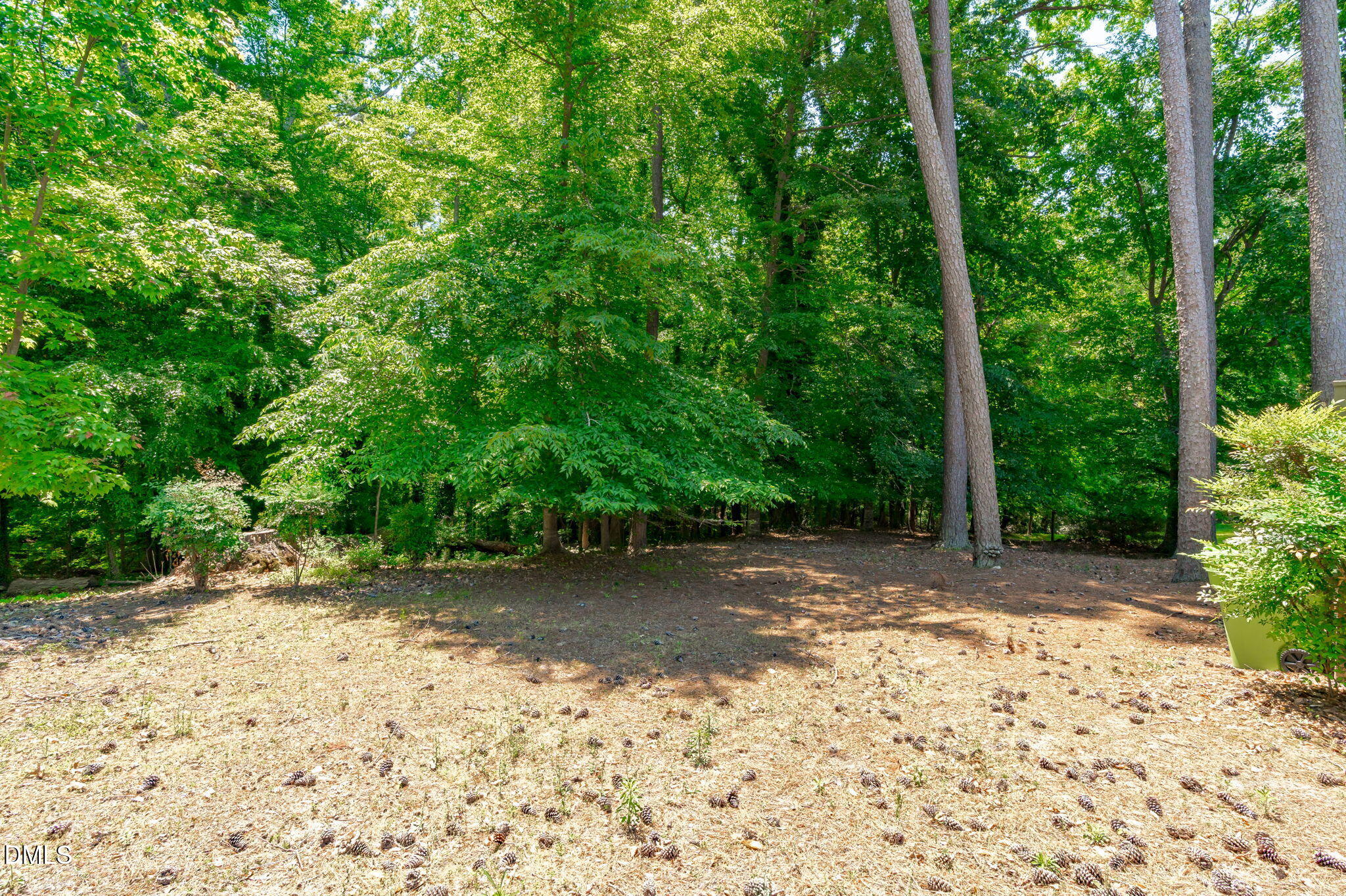 1205 Kimberly Drive Raleigh, NC 27609 - Photo 36 of 45 a view of a dirt road with trees in the background