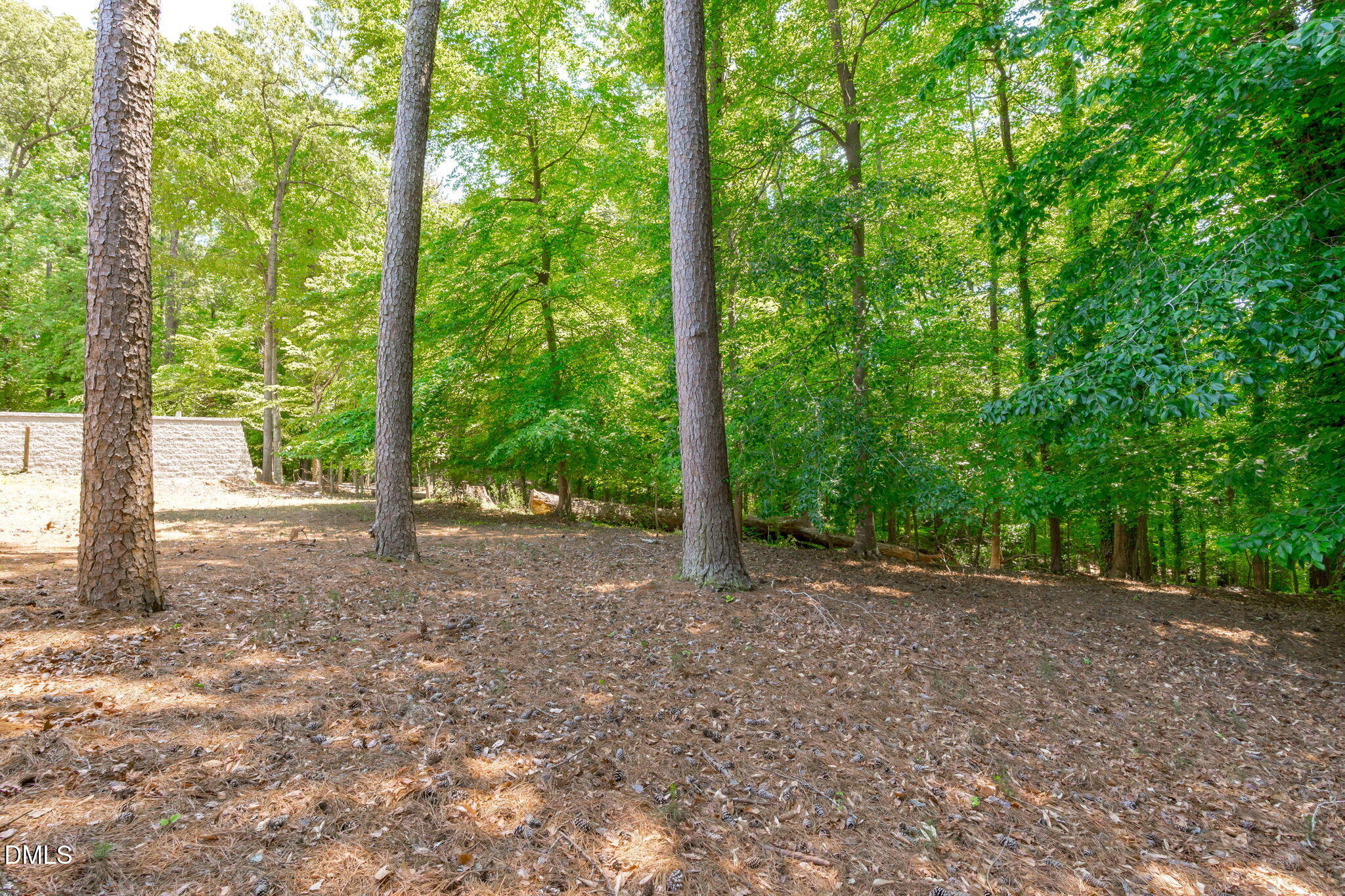 1205 Kimberly Drive Raleigh, NC 27609 - Photo 37 of 45 a view of a forest with trees in the background