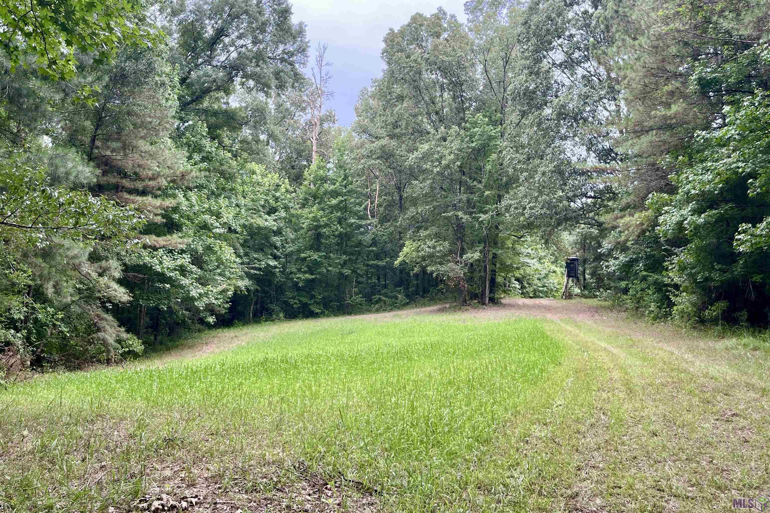 655 Oil Well Road Fayette, MS 39069 - Photo 46 of 58