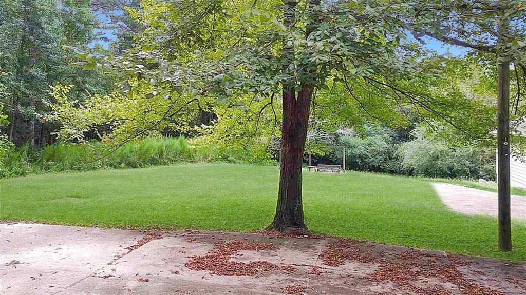 5844 Old Bill Cook Road Atlanta, GA 30349 - Photo 8 of 32 a view of a yard with a tree