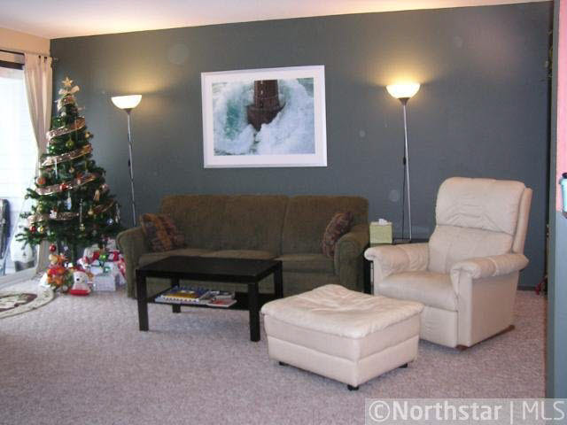 175 County Rd B2 East, Unit 314 Little Canada, MN 55117 - Photo 2 of 8