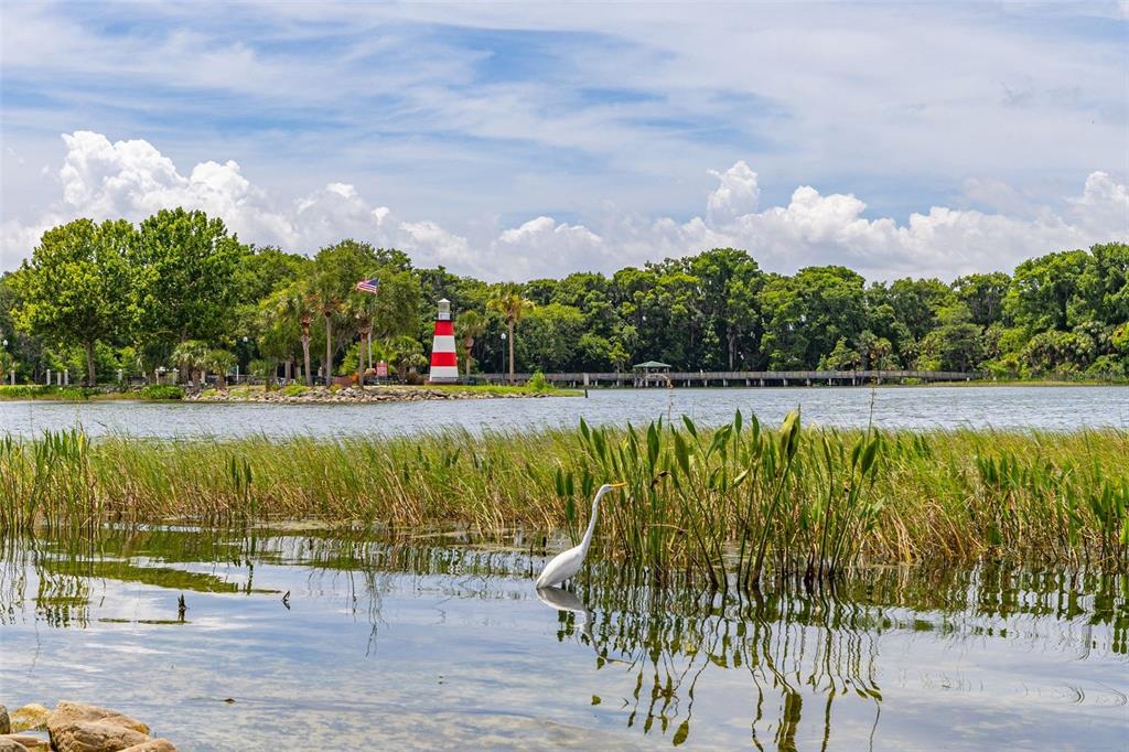 367 August Fern Loop Mount Dora, FL 32757 - Photo 69 of 90
