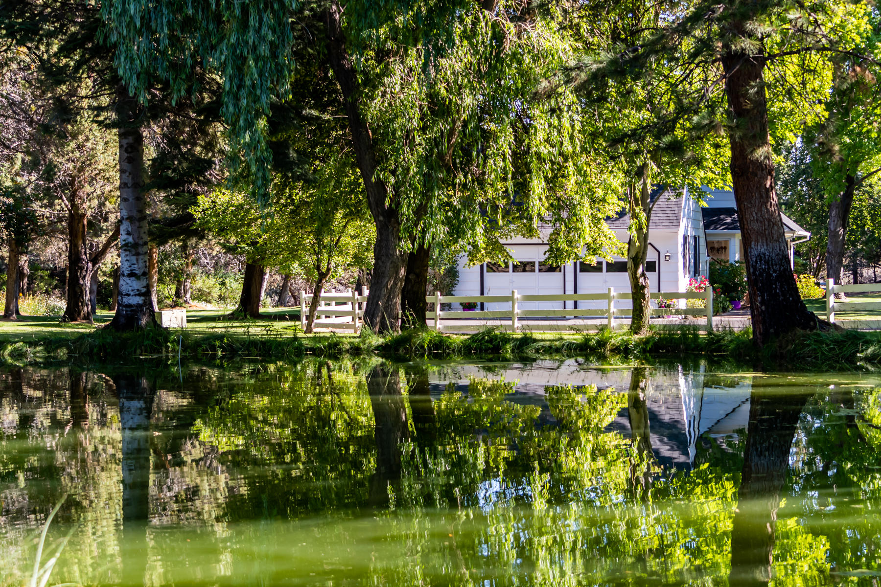 63245 Cole Road Bend, OR 97701 - Photo 6 of 37 06-Large Pond