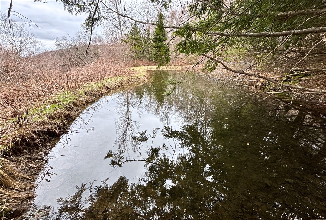 2636 Murphy Hill Road Andes, NY 13731 - Photo 19 of 33