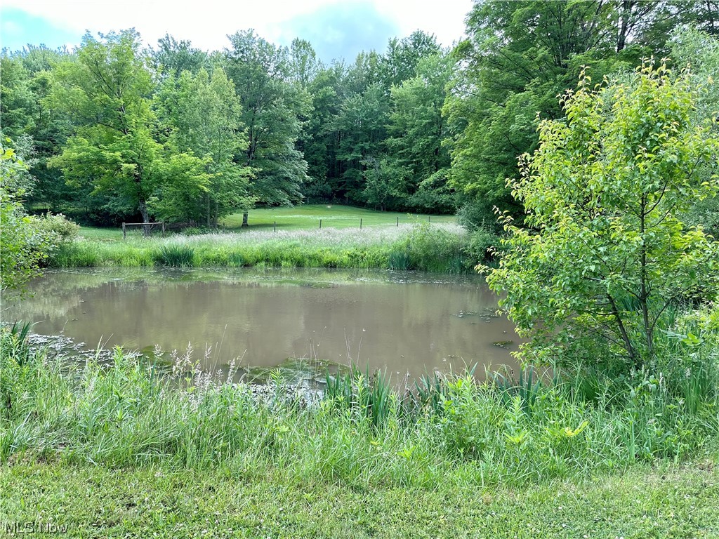 8914 North Brown Road Chardon, OH 44024 - Photo 22 of 23 Gallery Image 22