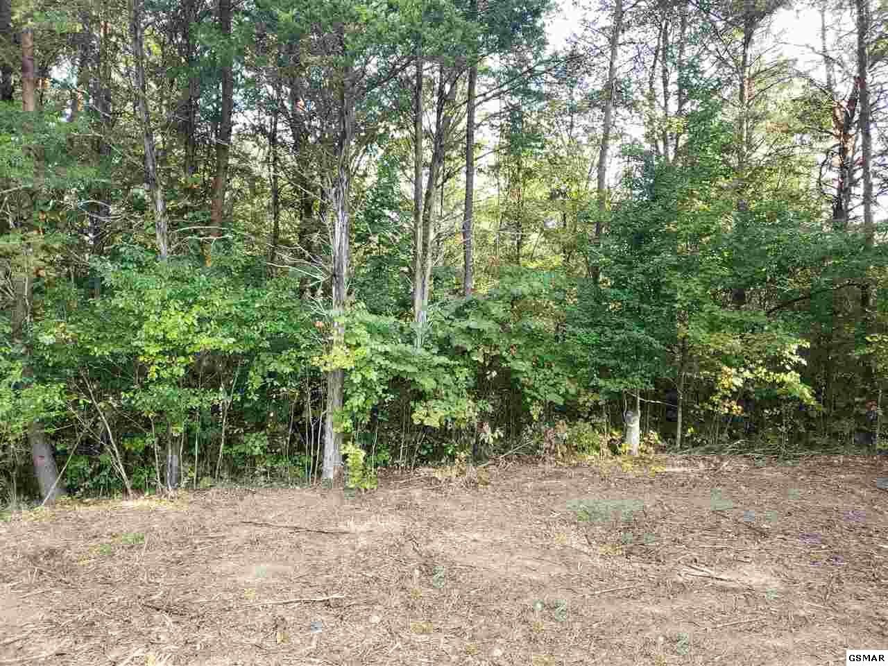 807 Smith School Road Kodak, TN 37764 - Photo 7 of 23 Gallery Image 7