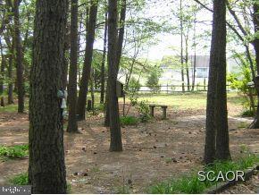 23277 Neptune Road Milton, DE 19968 - Photo 7 of 9 Gallery Image 7